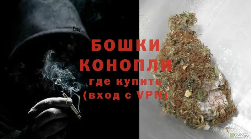 Шишки марихуана SATIVA & INDICA  Гай 